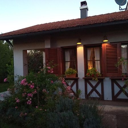 Nikolija 1 Apartment Bajina Basta Bagian luar foto