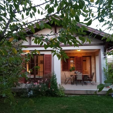 Nikolija 1 Apartment Bajina Basta Bagian luar foto