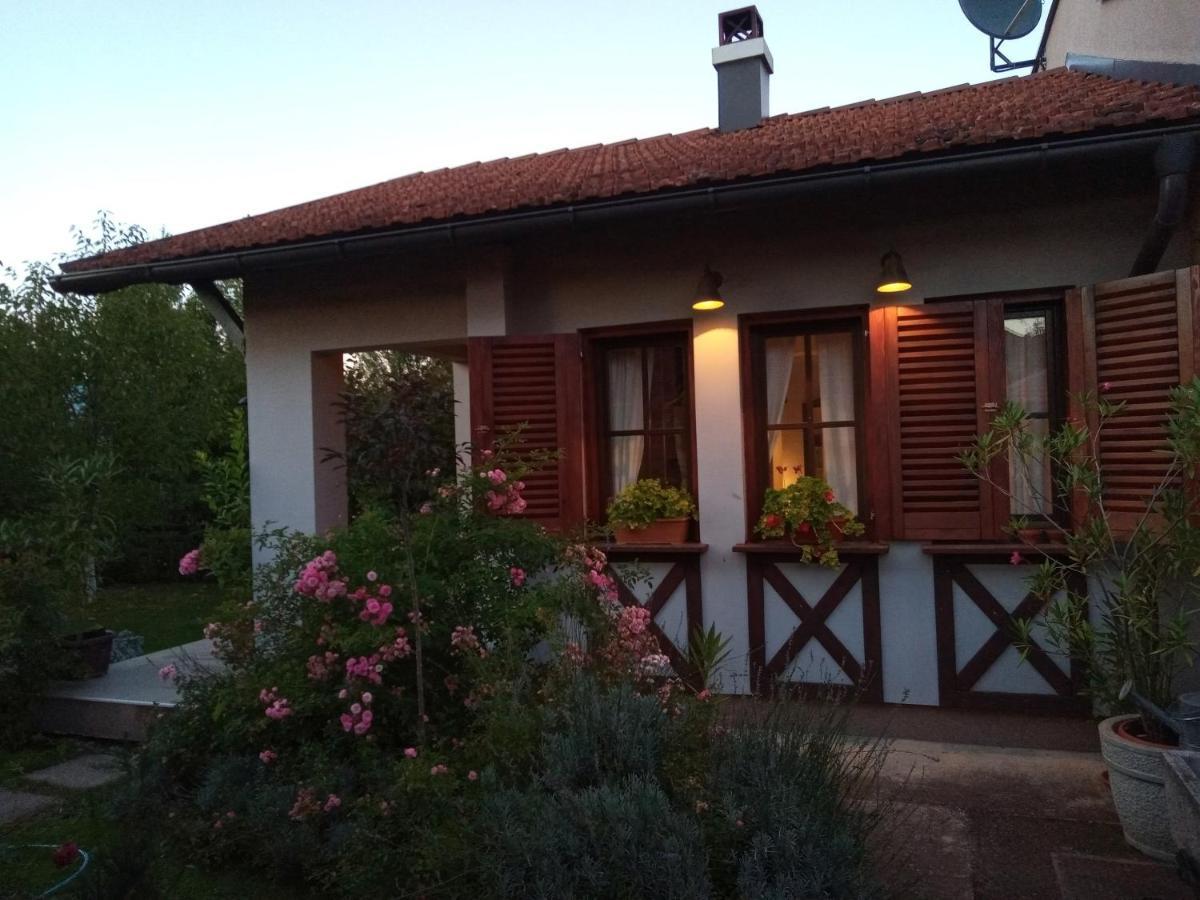 Nikolija 1 Apartment Bajina Basta Bagian luar foto