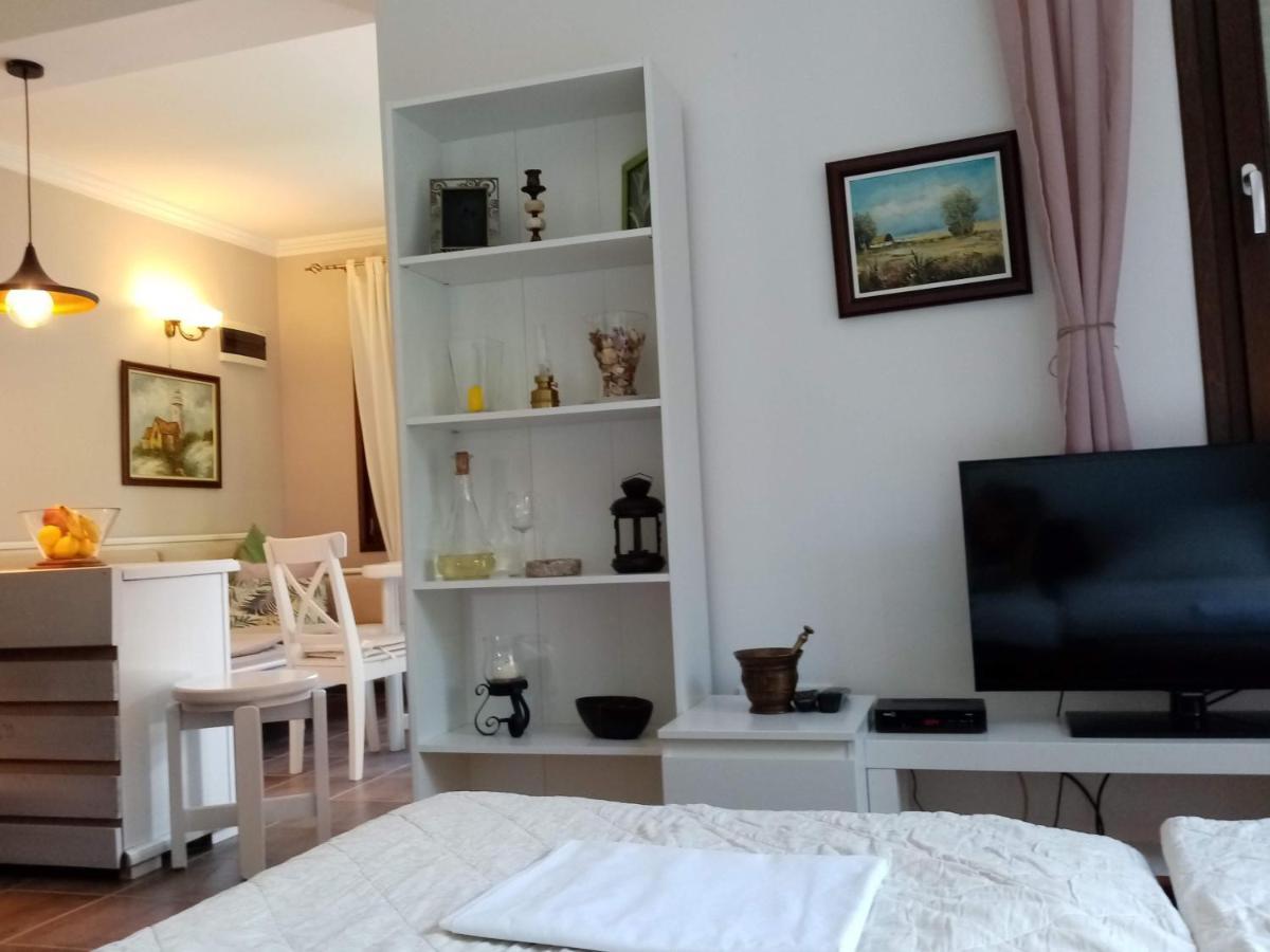 Nikolija 1 Apartment Bajina Basta Bagian luar foto