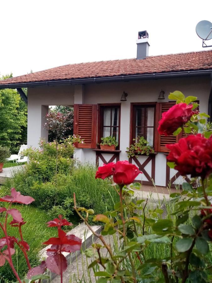 Nikolija 1 Apartment Bajina Basta Bagian luar foto