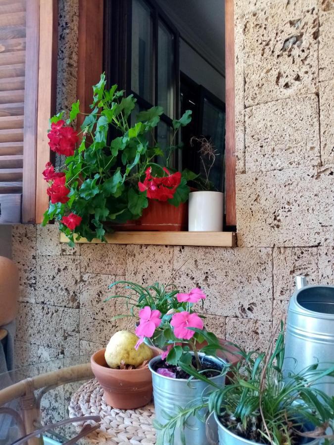 Nikolija 1 Apartment Bajina Basta Bagian luar foto